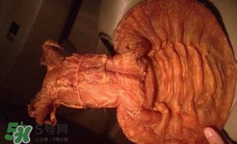 黃唇魚魚鰾是什么？魚鰾是魚的哪個部位