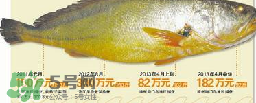 孕婦能吃金錢鱉嗎？懷孕期間能不能吃金錢鱉？