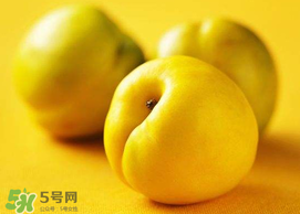 油桃和芒果可以一起吃嗎？芒果和油桃能一起吃嗎？