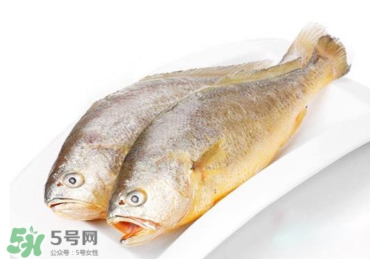 黃唇魚是不是黃花魚？黃唇魚和黃花魚的區(qū)別