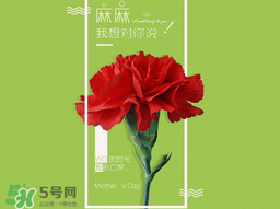 2017年母親節(jié)會(huì)打折嗎？2017年母親節(jié)有什么優(yōu)惠活動(dòng)？