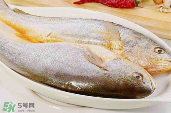 黃花魚多少錢一斤？野生黃花魚多少錢一斤