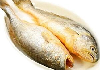 黃花魚多少錢一斤？野生黃花魚多少錢一斤