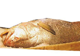 黃唇魚是不是黃花魚？黃唇魚和黃花魚的區(qū)別