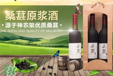 桑葚酒的營養(yǎng)價(jià)值_桑葚酒的功效與作用