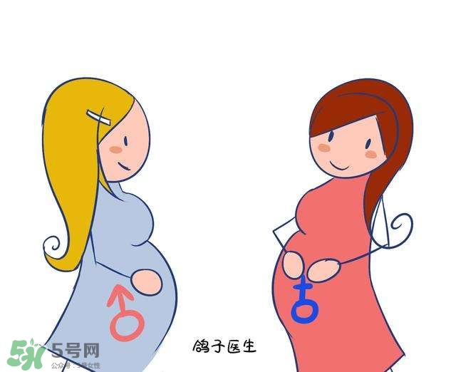 怎么問醫(yī)生胎兒性別？醫(yī)生會告訴胎兒性別嗎？