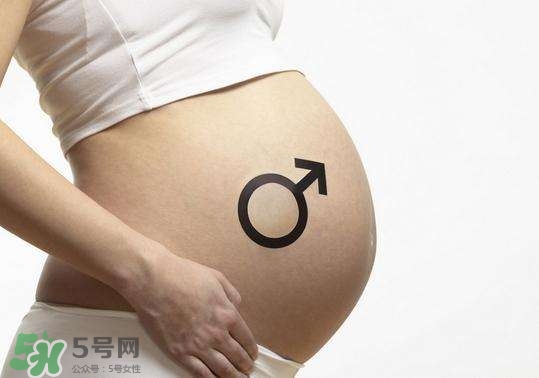 怎么問醫(yī)生胎兒性別？醫(yī)生會告訴胎兒性別嗎？