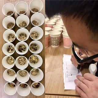 麥片什么牌子好？進(jìn)口麥片哪個(gè)牌子好吃