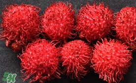 紅毛丹什么時候上市？紅毛丹什么季節(jié)有？