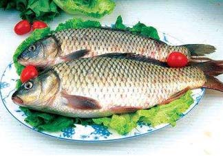?五月份吃什么魚？5月份吃什么魚？