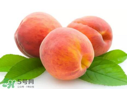 桃子為什么不能和西瓜一起吃？桃子和西瓜為什么不能一起吃？