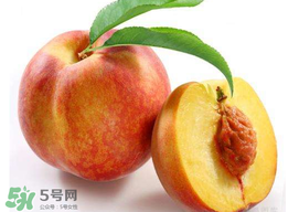 桃子可以放冰箱嗎？桃子能放冰箱保鮮嗎？