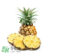 孕婦能吃菠蘿嗎？菠蘿孕婦能不能吃？