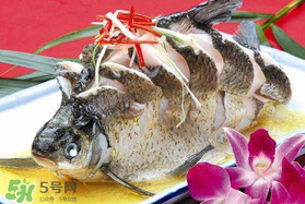?五月份吃什么魚？5月份吃什么魚？