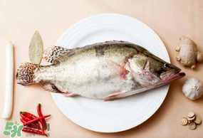 ?五月份吃什么魚？5月份吃什么魚？