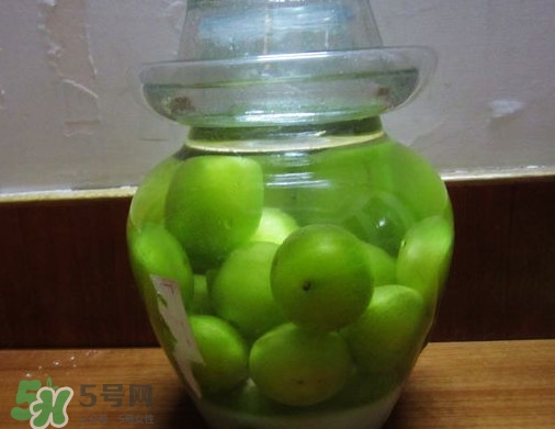 三華李可以泡酒嗎？三華李可以多吃嗎？