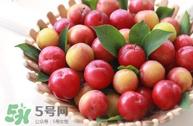 月經(jīng)期可以吃三華李嗎？月經(jīng)期能吃三華李嗎