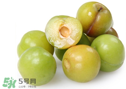 雙華李就是三華李嗎？雙華李和三華李區(qū)別