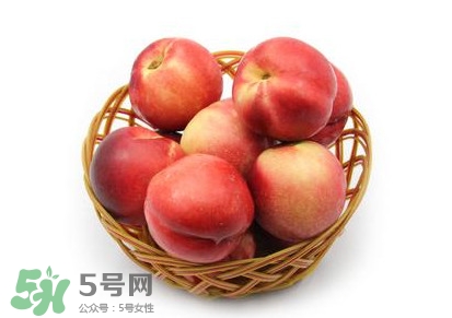 三華李可以泡酒嗎？三華李可以多吃嗎？