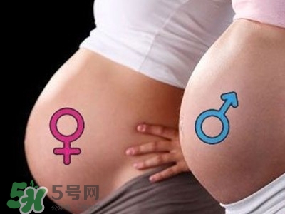 B超單數(shù)據(jù)怎么看男女？B超單看男女準(zhǔn)嗎？