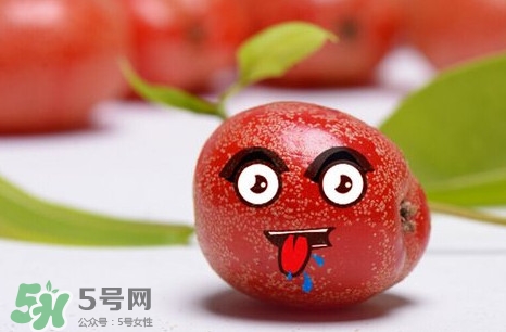 羊奶子有什么藥用價(jià)值？羊奶子有什么功效