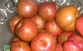 三華李可以泡酒嗎？三華李可以多吃嗎？