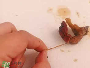 周黑鴨小龍蝦好吃嗎？周黑鴨小龍蝦試吃評(píng)測(cè)