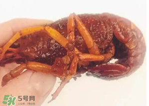 周黑鴨小龍蝦好吃嗎？周黑鴨小龍蝦試吃評(píng)測(cè)
