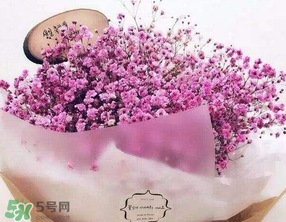 母親節(jié)可以送滿天星嗎？母親節(jié)能送滿天星嗎？