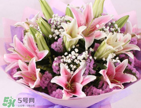 百合花多少錢一支2017？百合花多少錢一束2017？
