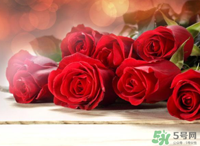 母親節(jié)送什么顏色的玫瑰花？母親節(jié)送幾朵玫瑰花？