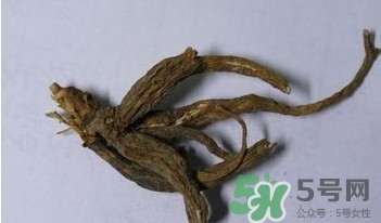 土瓜根是什么？土瓜根粉哪里有賣的？