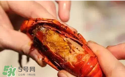 周黑鴨小龍蝦怎么吃？周黑鴨小龍蝦怎么吃圖解？