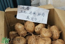 涼薯怎么做好吃？涼薯怎么炒好吃