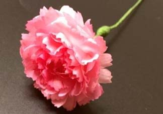 母親節(jié)可以送紙做的康乃馨嗎？康乃馨怎么折？