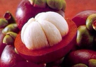 山竹是什么季節(jié)的水果？山竹是哪里的特產(chǎn)