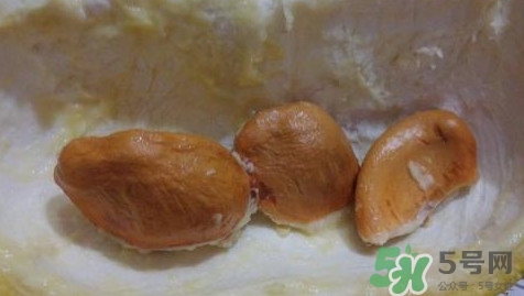 榴蓮核能種嗎？榴蓮核怎么種盆栽？