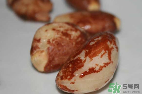 榴蓮核能種嗎？榴蓮核怎么種盆栽？