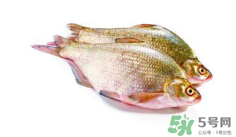 鳊魚怎么做好吃？鳊魚怎么燒好吃