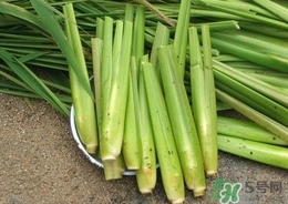 茭白能放冰箱嗎？茭白可以放冰箱多久