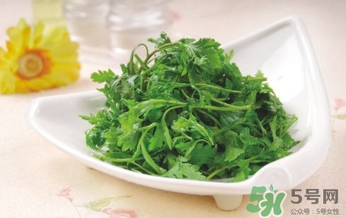 菊花腦孕婦能吃嗎？孕婦可以吃菊花腦嗎