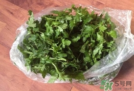 菊花腦怎么做好吃？菊花腦怎么做有營(yíng)養(yǎng)
