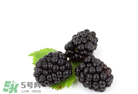 覆盆子的熱量高嗎？覆盆子可以減肥嗎？