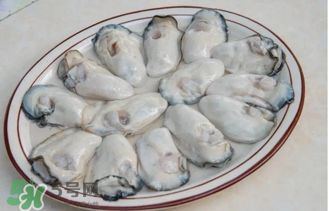 生蠔怎么做好吃？生蠔怎么吃圖解