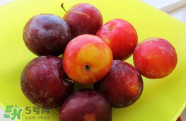 李子可以和西紅柿一起吃嗎？西紅柿和李子能同吃？