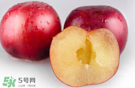 李子可以和西紅柿一起吃嗎？西紅柿和李子能同吃？