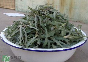 苦苦菜怎么腌制？怎樣腌制苦苦菜？