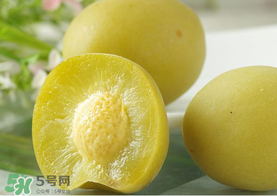 青梅怎么腌制脆青梅？脆青梅的腌制方法