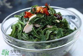 苦菜怎么保存？苦菜怎么保存時間長？