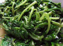 苦菜可以曬干嗎？苦菜怎么曬干？